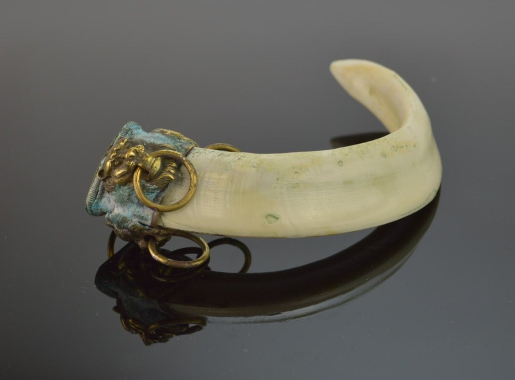 19th C. Wild Boar's Tooth Amulet: Large Mongolian Wild Boar's Tooth Amulet with 3 Dimensional Lion Heads. 4 3/4" High