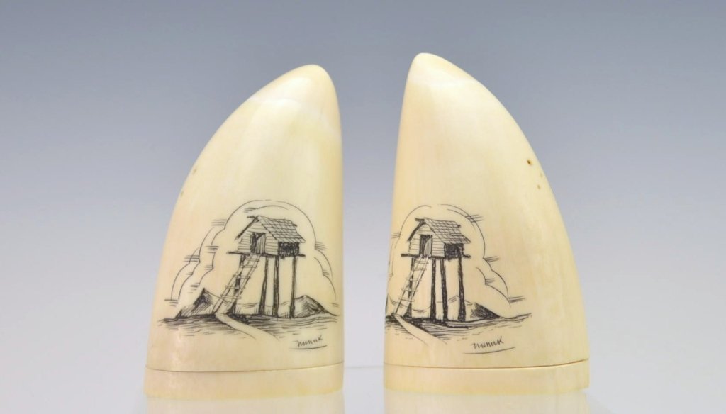 Sperm Whale Scrimshaw Salt and Pepper Shakers: Beautiful set of Sperm whale tooth salt and pepper shakers. Scrimshaw with signature. Measure 3" x 1.75" and 2.75" x 1 5/8" One tooth needs the cork replaced.