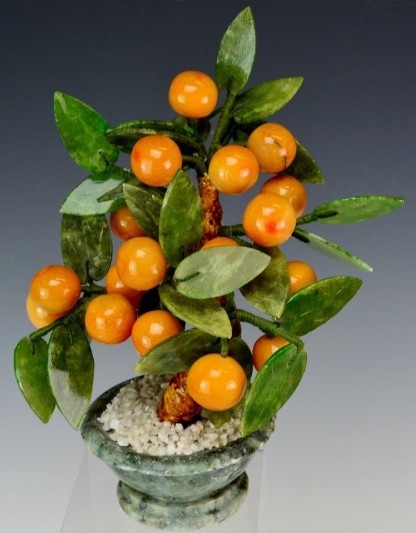 Jade Apricot Fruit Tree (1 of 3)