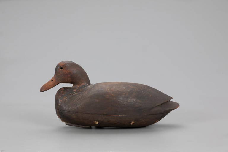 The Surace Cobb Black Duck Decoy, Nathan F. Cobb Jr. Feb 19, 2021