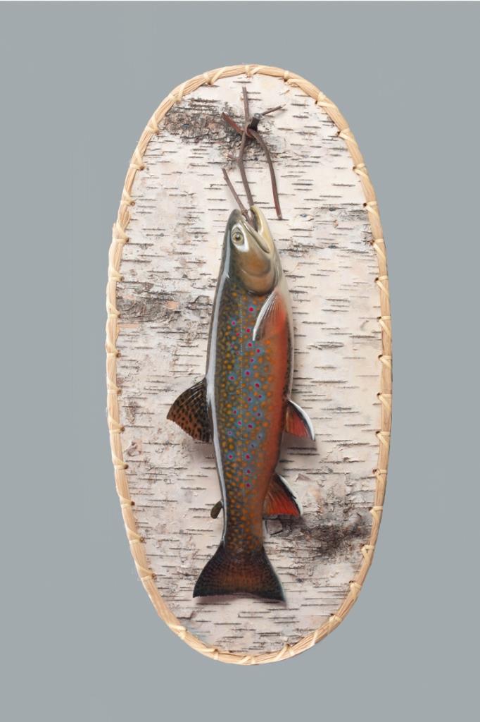 Brook Trout Mount on Birch Bark, David A. Footer (b. (1 of 2)
