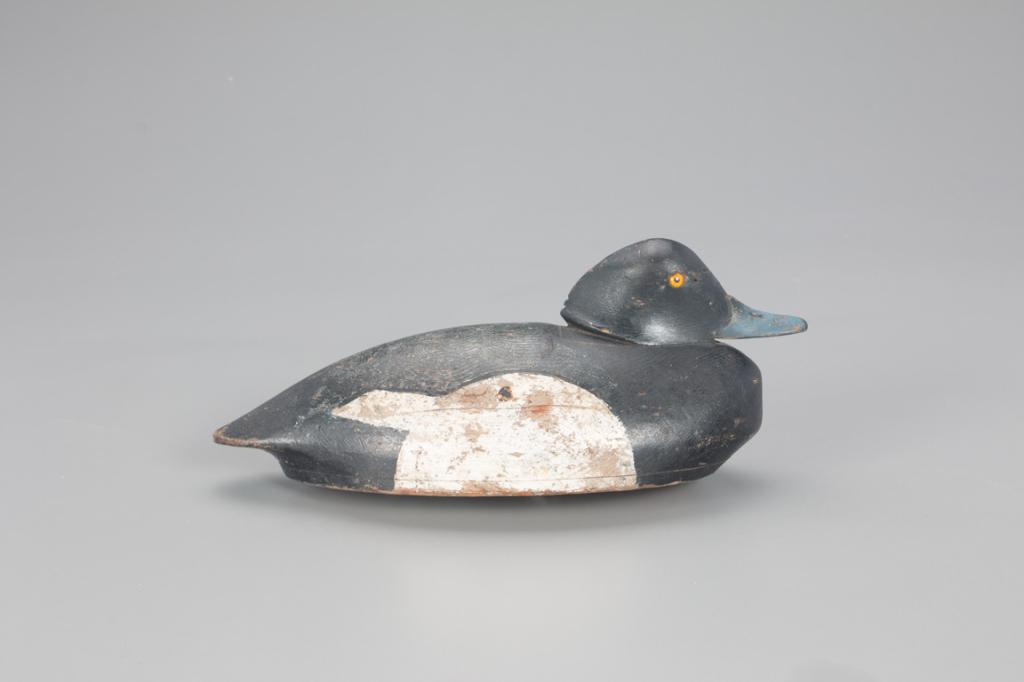 Tucked Head Bluebill Drake Decoy, Nathaniel "Nate" (1 of 4)
