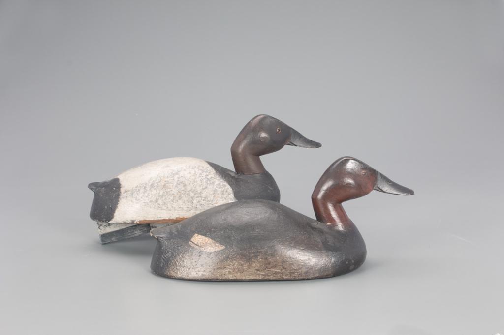Canvasback Pair, Paul Radamach (1 of 4)