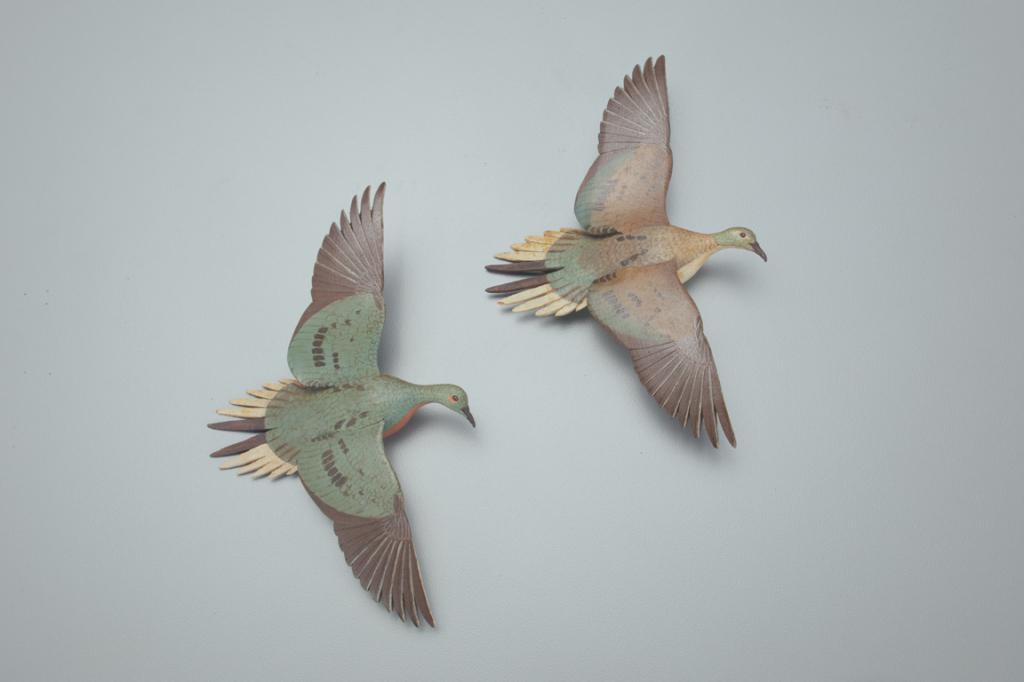 Two Miniature Passenger Pigeons, James Joseph Ahearn (1 of 4)