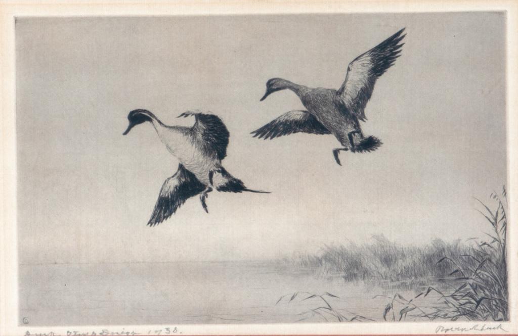 Roland H. Clark (1874-1957) Duck Stamp Design (1 of 3)