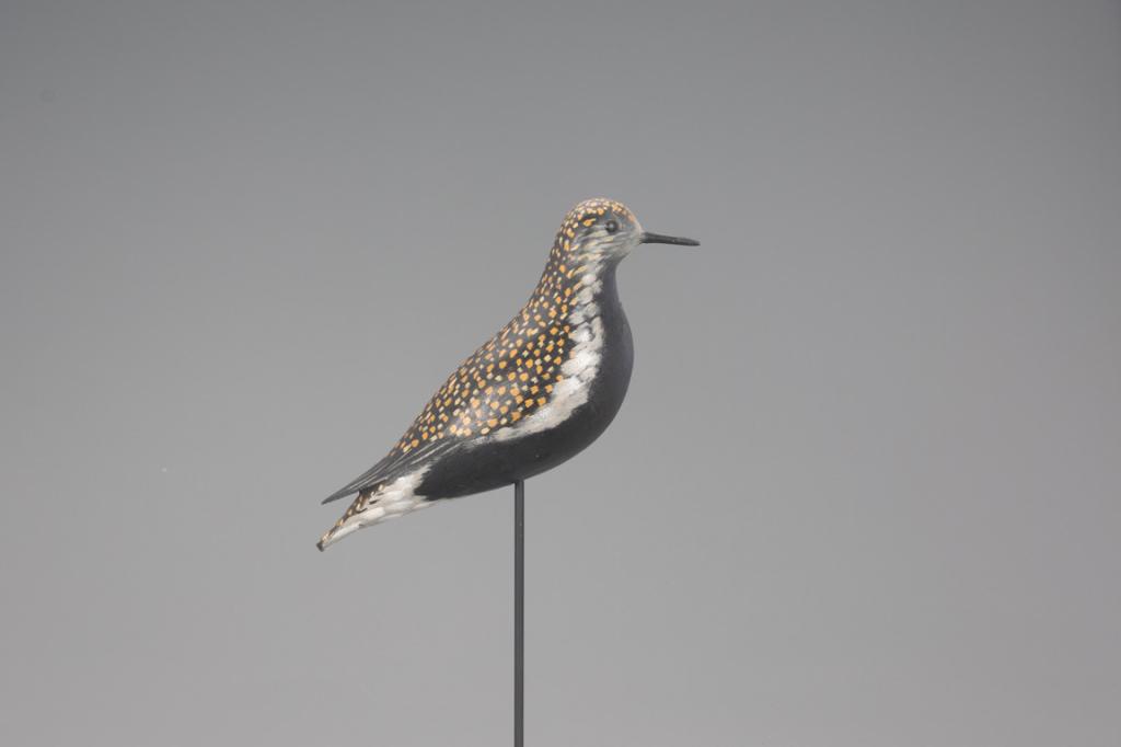 Sherer Rig Golden Plover Decoy, A. Elmer Crowell (1 of 4)