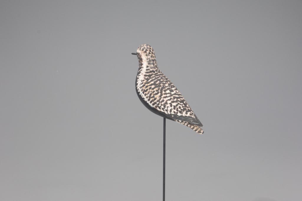 Sherer Rig Black-Bellied Plover Decoy, A. Elmer Crowell (1 of 4)