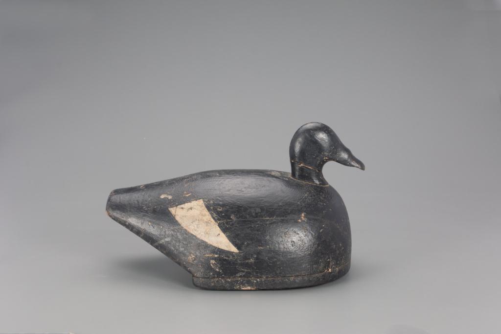 Early Oversize White-Winged Scoter Decoy, Joseph W. (1 of 4)