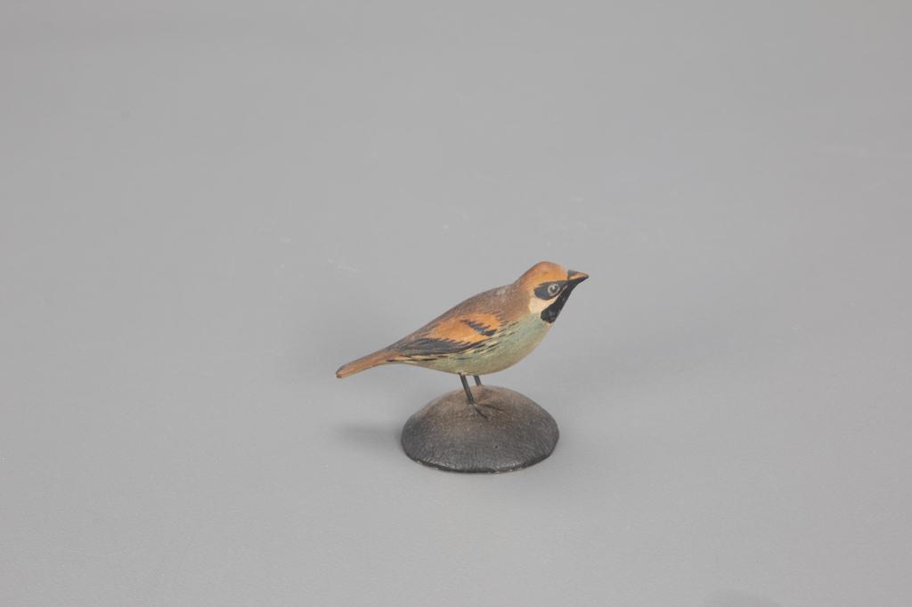 Miniature Golden-Winged Warbler, A. Elmer Crowell (1 of 4)