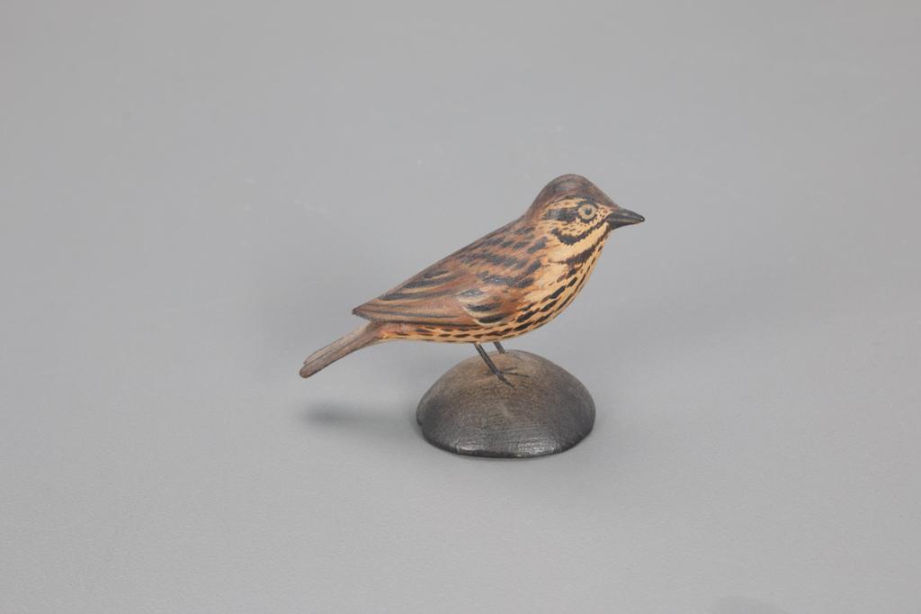 Miniature Song Sparrow, A. Elmer Crowell (1862-1952) (1 of 4)