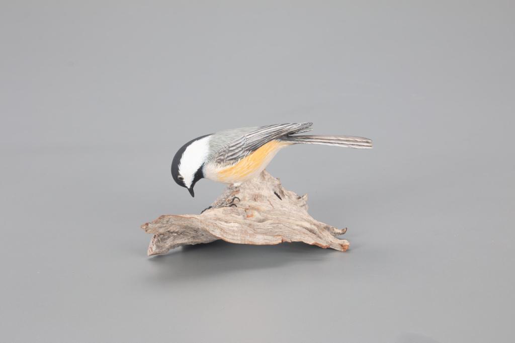 Chickadee, Arnold T. Melbye (1909-2000) (1 of 4)