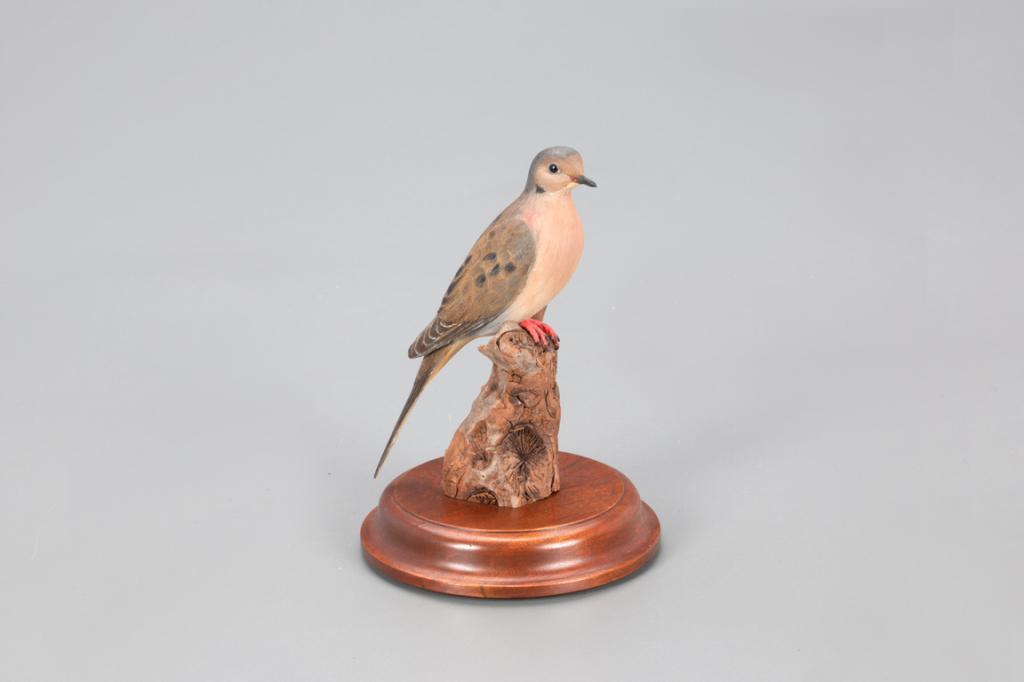 Half-Sized Mourning Dove, Jack and Bette Holt (1 of 4)
