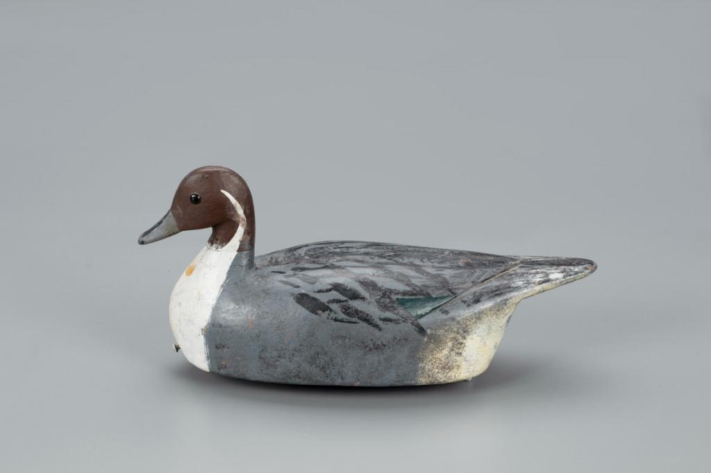 Pintail Drake Decoy, Alton "Clay" Tillet (1913-1992) (1 of 4)