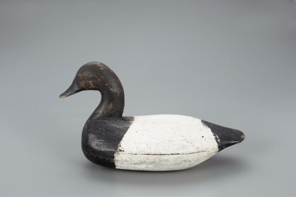 High-Head Canvasback Decoy, Oscar Carroll (1868-1946) (1 of 4)