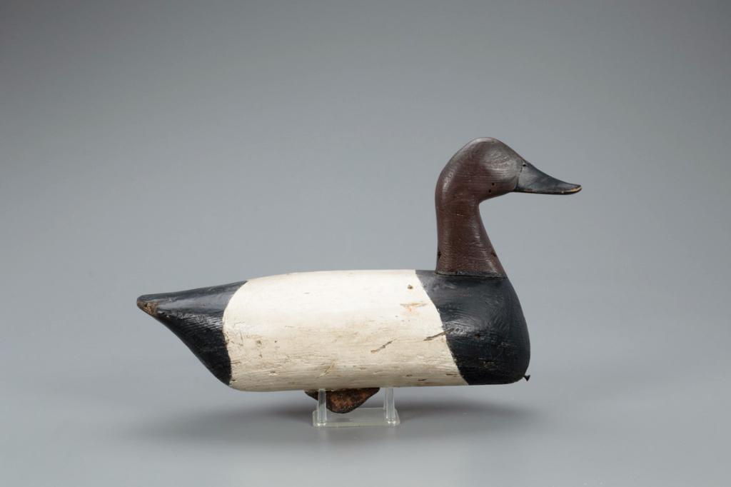 Canvasback Decoy, John Austin (1891-1981)(attr.) (1 of 4)