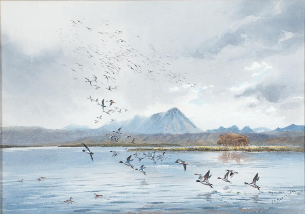 John Cyril Harrison (1898-1985) Lake Nyvatin - Iceland (1 of 3)