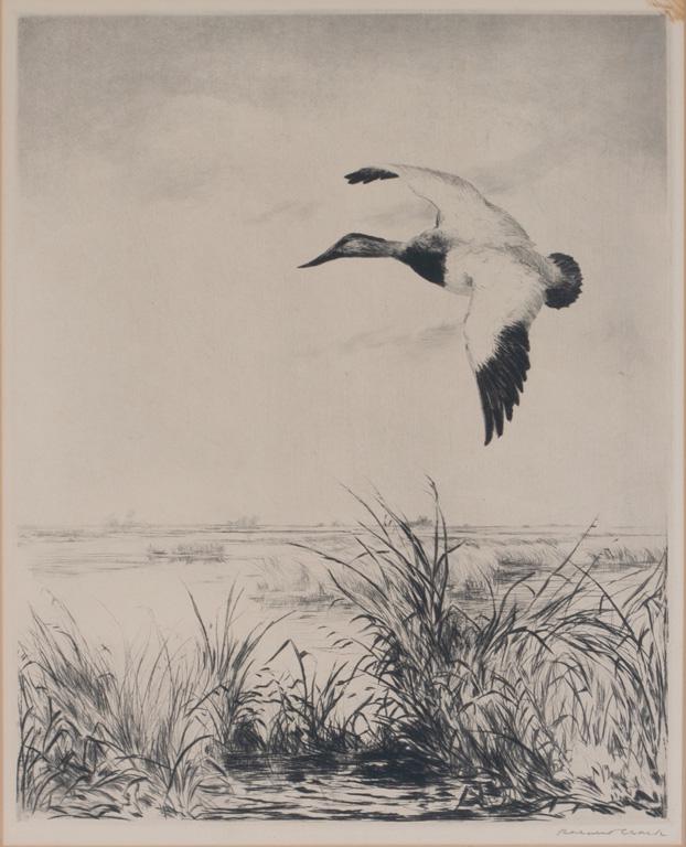 Three Sporting Prints: Three Sporting Prints Roland Clark (1874-1957) two etchings, each signed "Roland Clark" lower right Long Tails 2 3/4 by 7 3/4 in. Squaw 14 1/2 by 11 1/2 in. Frank W. Benson (1862-1951) Hunter Poling B