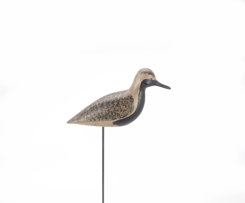 Black-Bellied Plover Decoy, Harry V. Shourds (1 of 4)