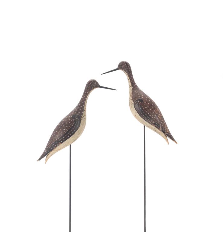 Important Greater Yellowlegs Pair (1 of 7)