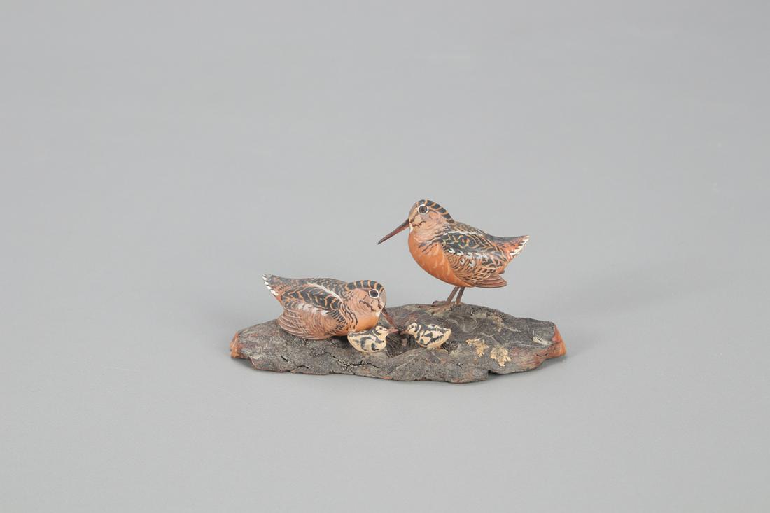 Miniature Woodcock Pair with Chicks, Allen J. King (1 of 4)
