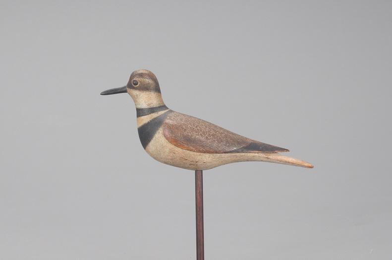 Killdeer, Mark S. McNair (b. 1950) (1 of 4)