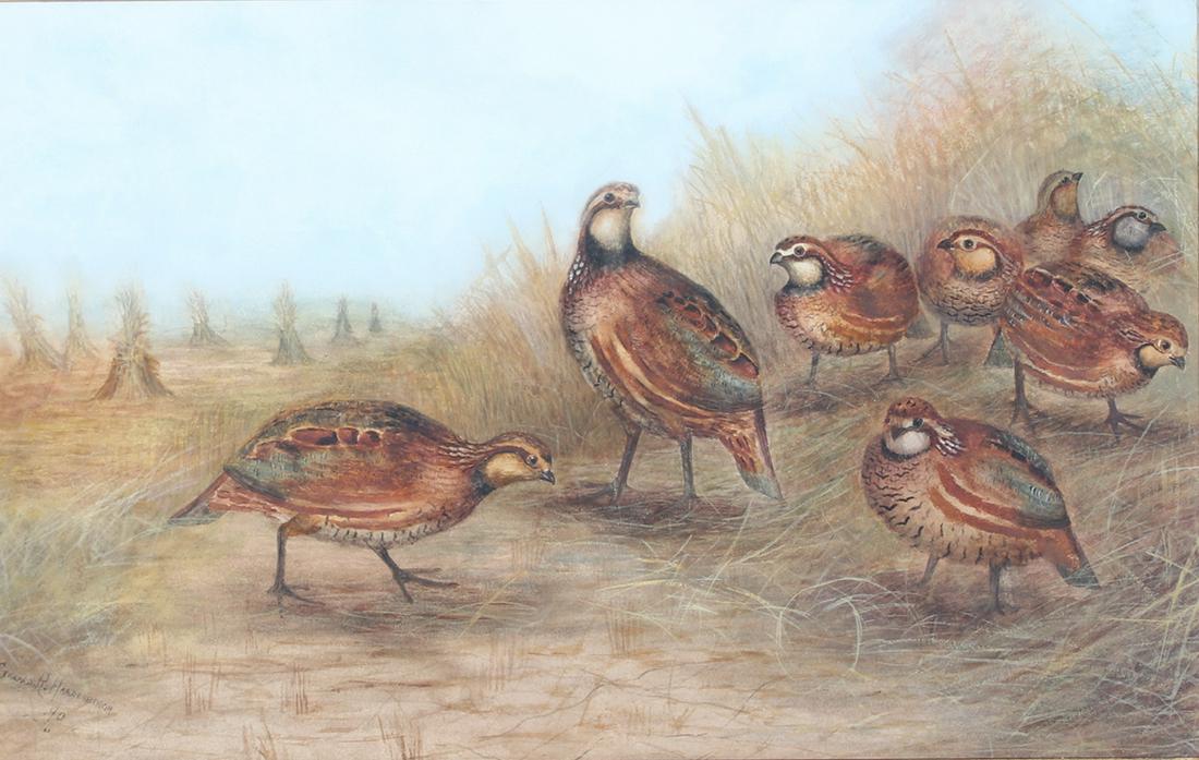 Gerard R. Hardenbergh (1855-1915), Quail (1 of 3)