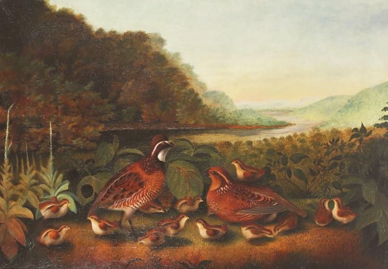 Titian Ramsay Peale (1799-1885), Bob White Quail: Titian Ramsay Peale (1799-1885) Bob White Quail oil on canvas, 19 1/2 by 17 1/4 in. Collection of John E. du Pont label on back Titian Ramsey Peale was born in Philadelphia in 1779, the youngest son o