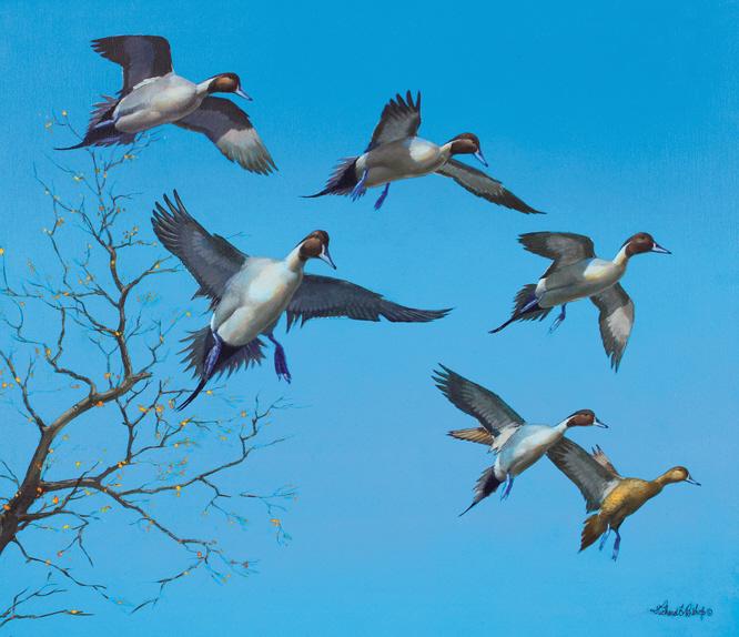 Richard E. Bishop (1887-1957), Spread Formation (1 of 3)