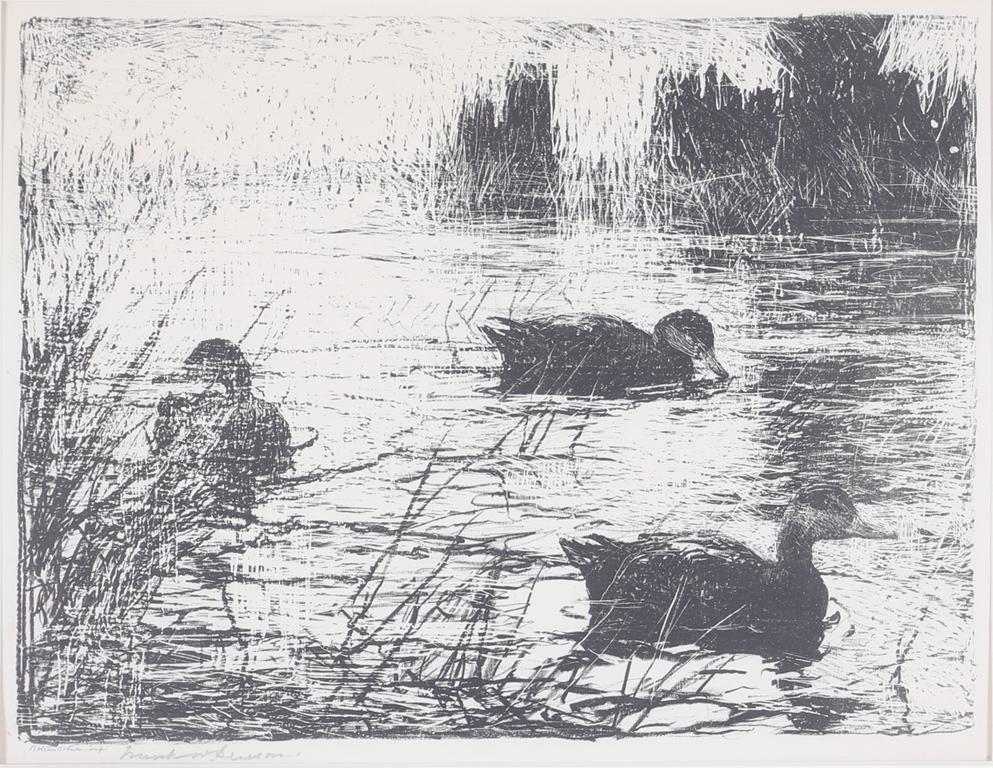 Frank W. Benson (1862-1951), Black Ducks (1 of 2)