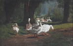 Juliette Peyrol-Bonheur (French, 1830-1891), Geese in a