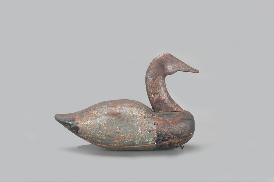 Magnum Canvasback Decoy, John Williams (1858-1937) (1 of 4)
