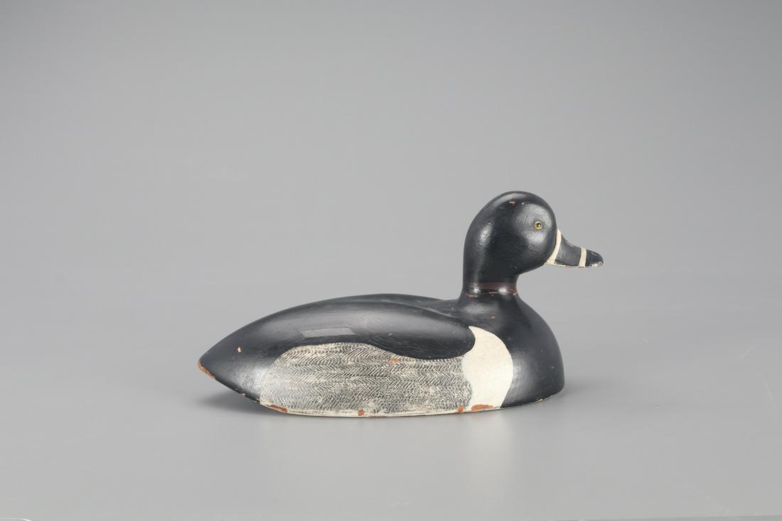 Ringnecked Duck Decoy, Joel D. Barber (1876-1952) (1 of 4)