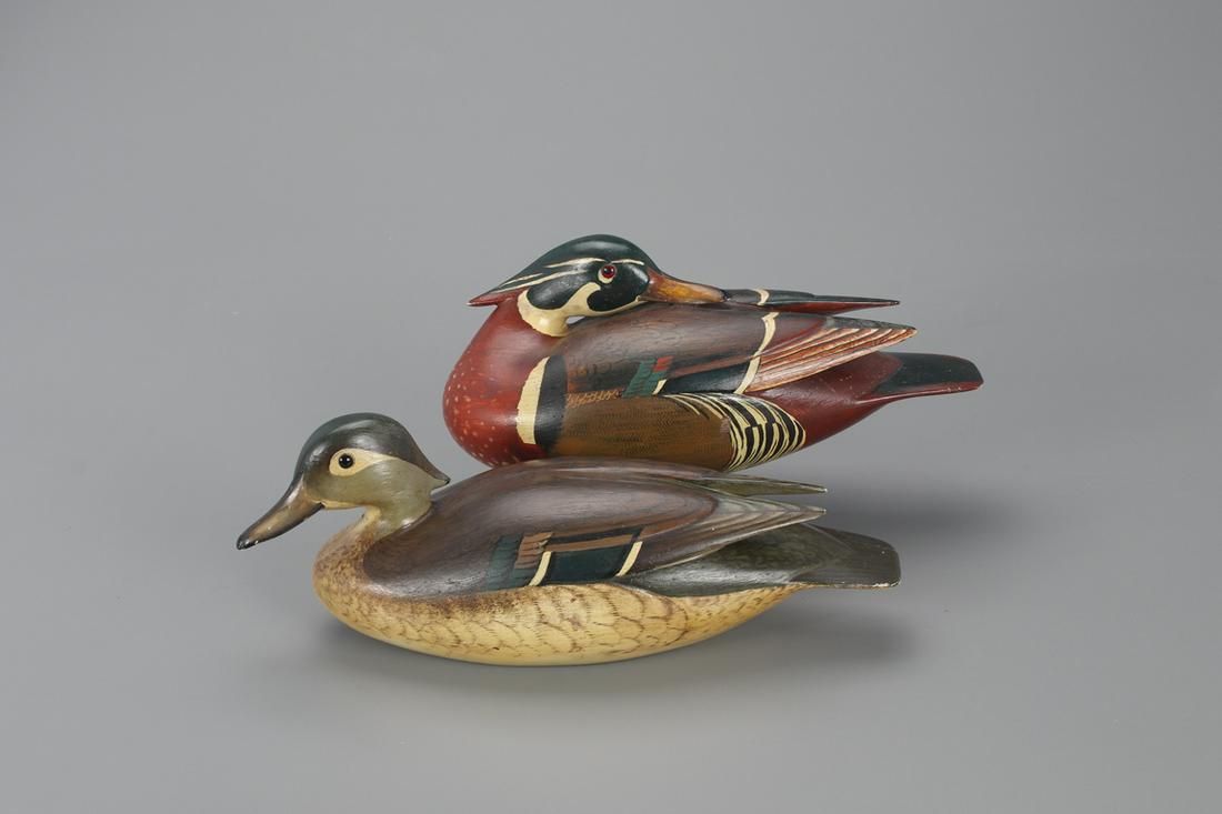 Wood Duck Pair, Charles "Shang" Wheeler (1872-1949) (1 of 4)