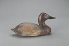 Canvasback Drake Decoy, William Finkle