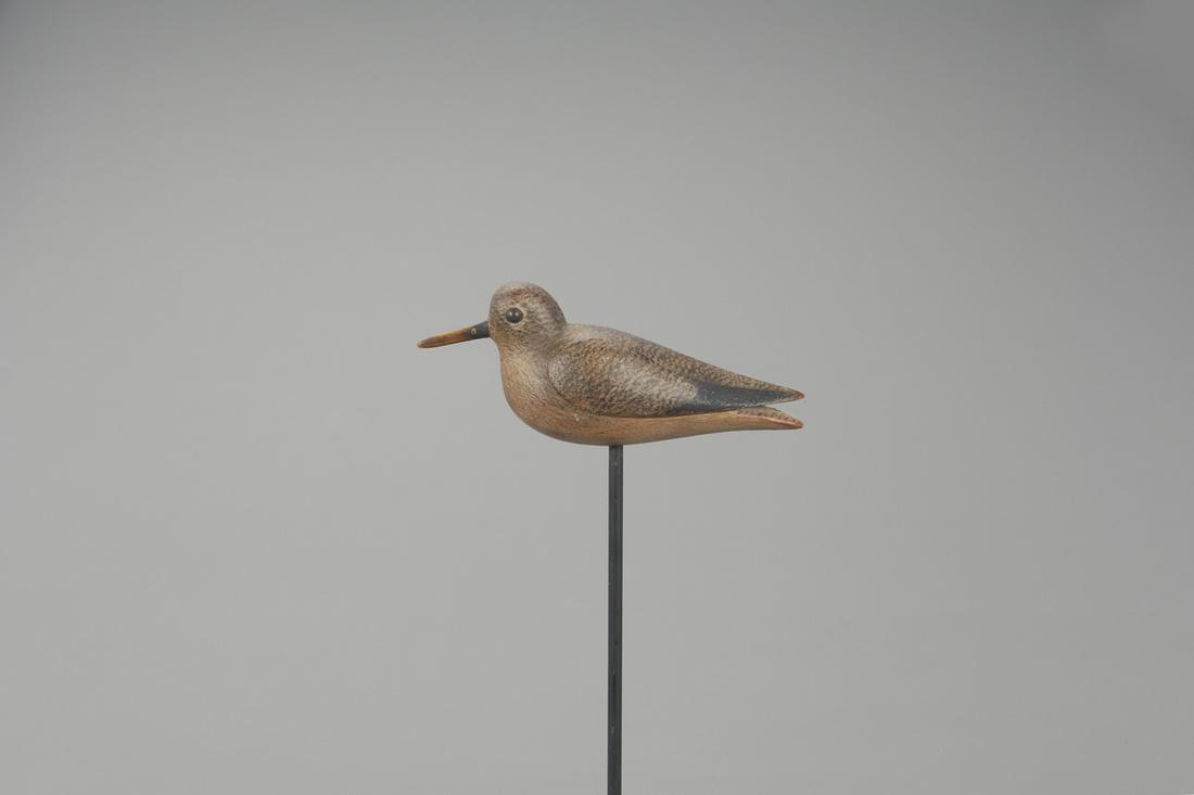 Tucked-Head Peep, Mark S. McNair (b. 1950) (1 of 4)