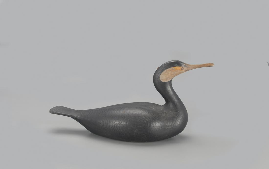 Cormorant, Colin S. McNair (b. 1986) (1 of 4)
