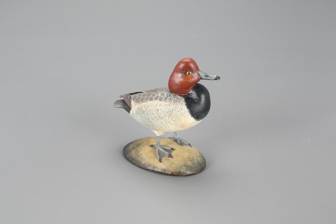 Miniature Redhead, Frank S. Finney (b. 1947) (1 of 4)