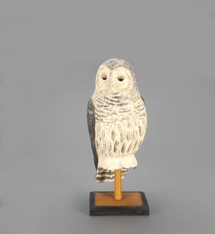 Barred Owl, Frank S. Finney (b. 1947) (1 of 4)