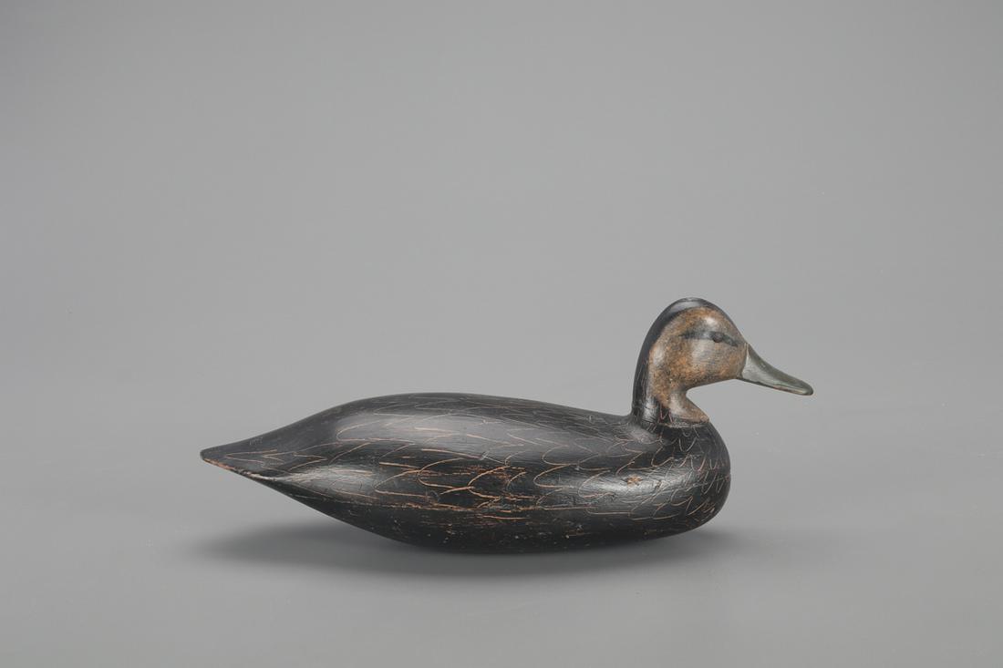 Black Duck Decoy, Harry M. Shourds (1890-1943) (1 of 4)