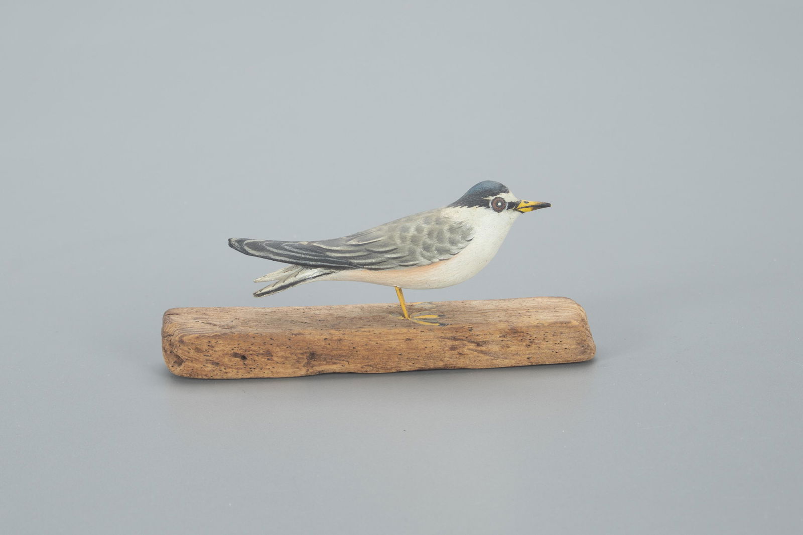 Miniature Least Tern, A. Elmer Crowell (1862-1952) (1 of 5)