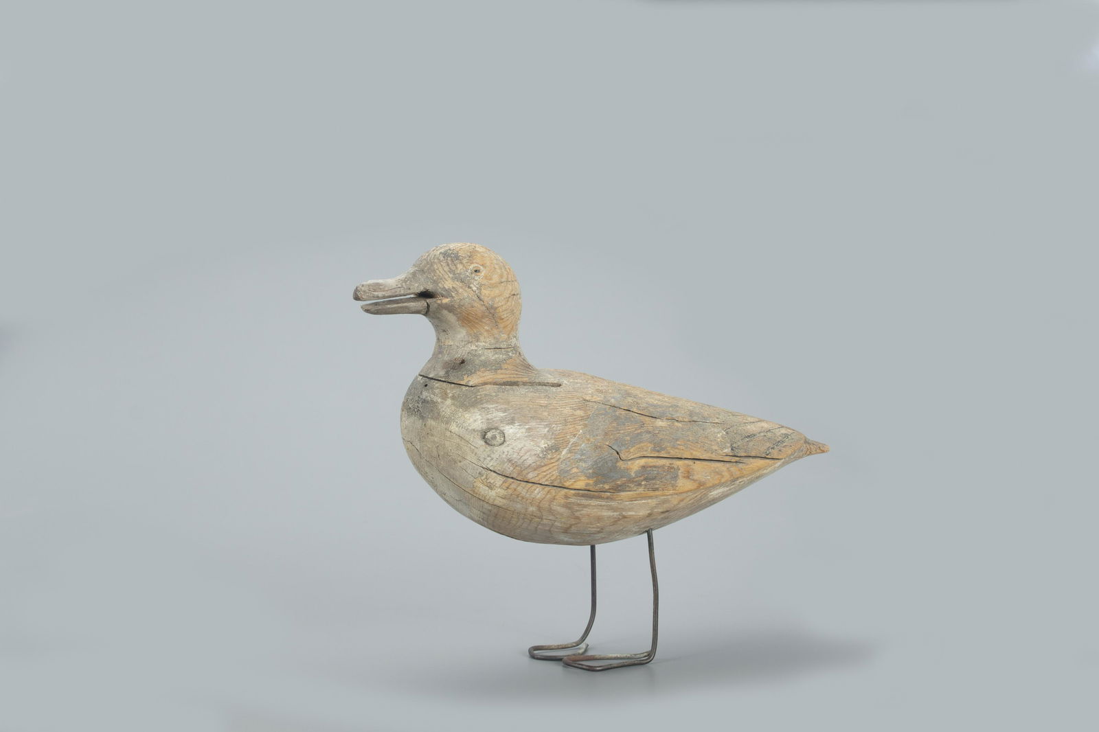 Gull, Augustus "Gus" Aaron Wilson (1864-1950) (1 of 4)