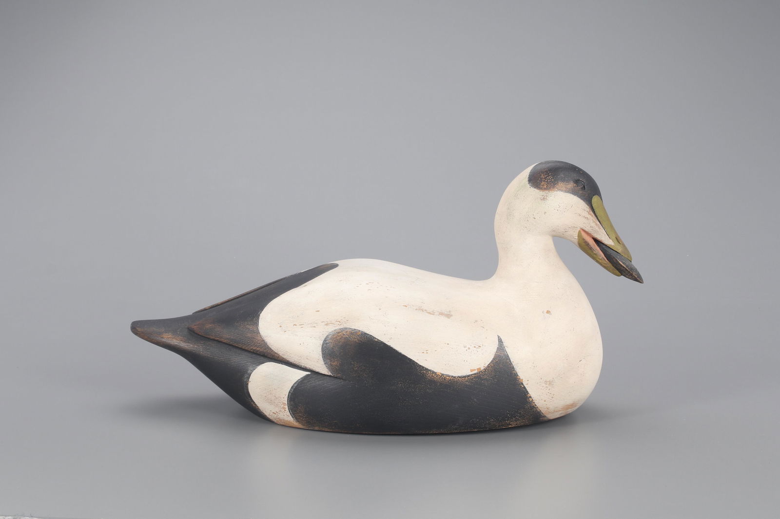 Eider Drake with Mussel, Keith Mueller (b. 1956) (1 of 5)