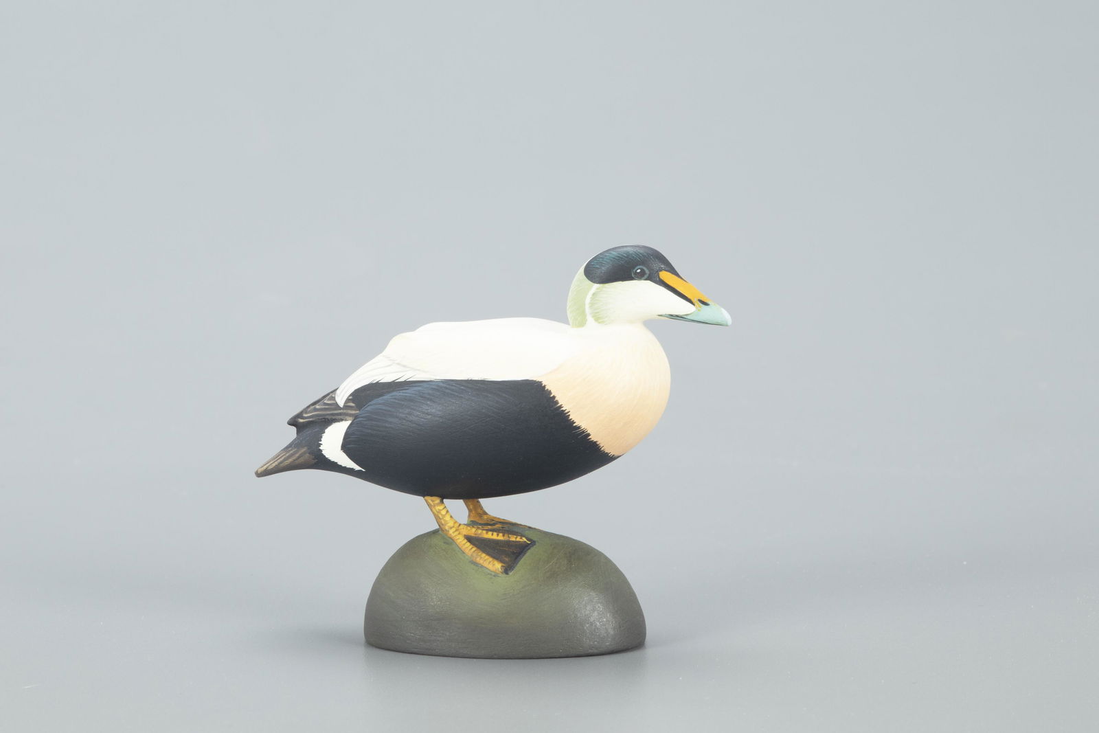 Miniature Atlantic Common Eider, Keith Mueller (b. (1 of 5)