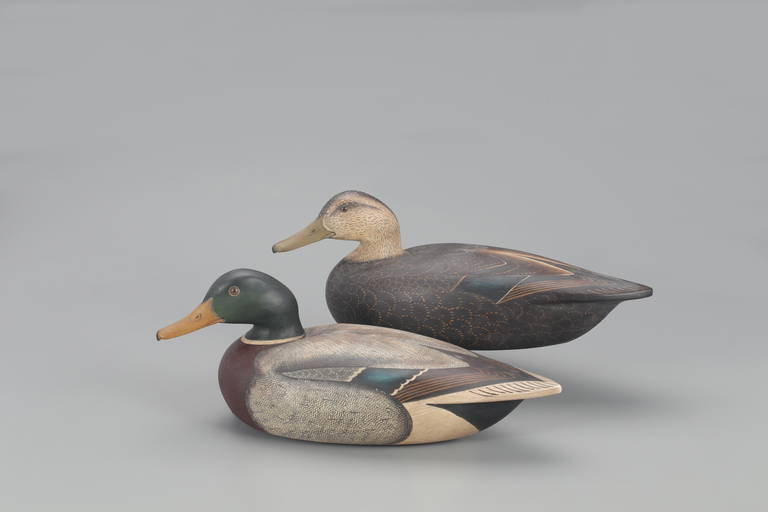 Mallard and Black Duck Decoys, Anthony G. Murray Mar 05, 2022