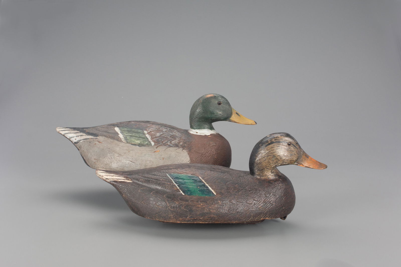Mallard Pair, Frank Schmidt (1 of 4)