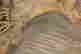 item-130605181=5