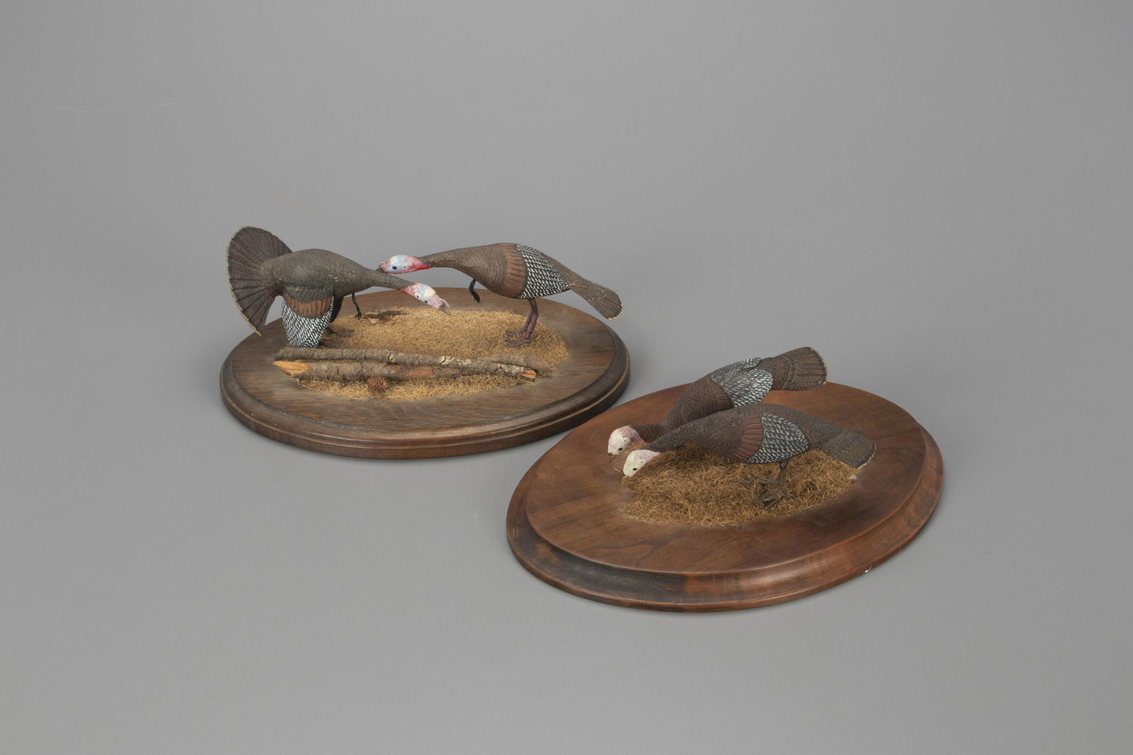 Miniature Turkey Flock on Two Bases, Robert Jameison (1 of 10)