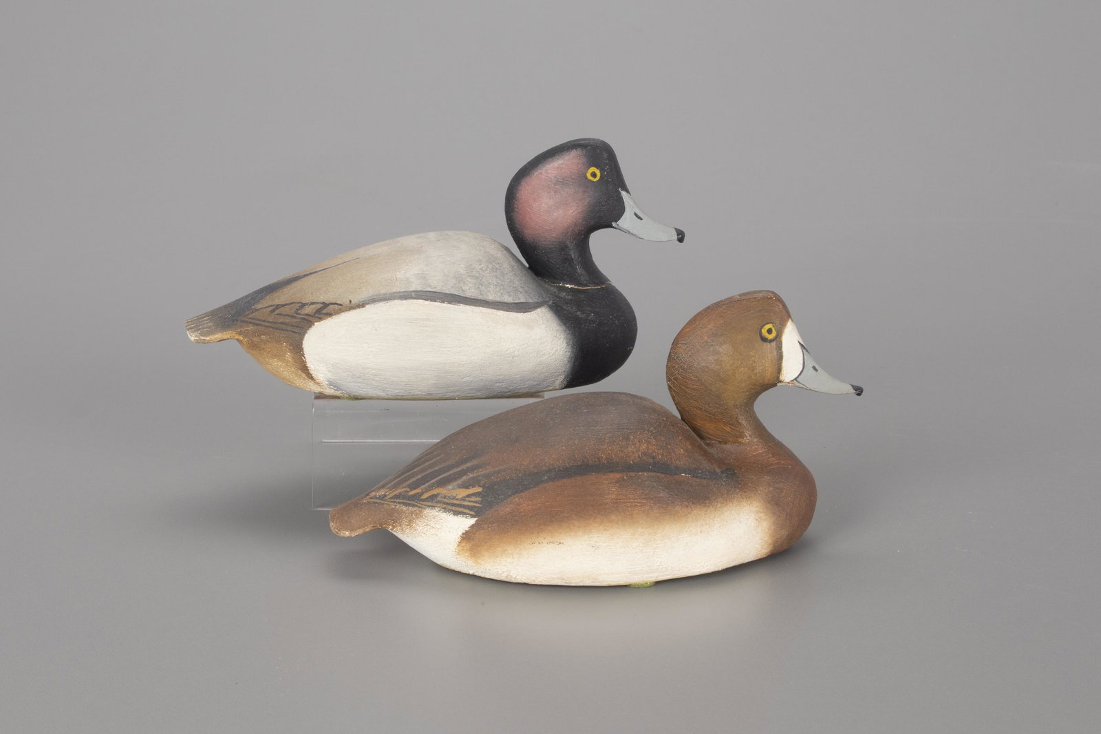 Miniature Bluebill Pair, The Ward Brothers (1 of 4)