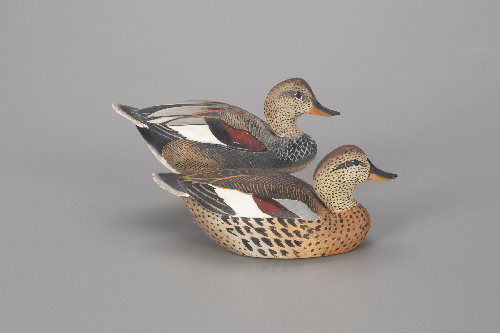 Miniature Gadwall Pair, The Ward Brothers (1 of 4)