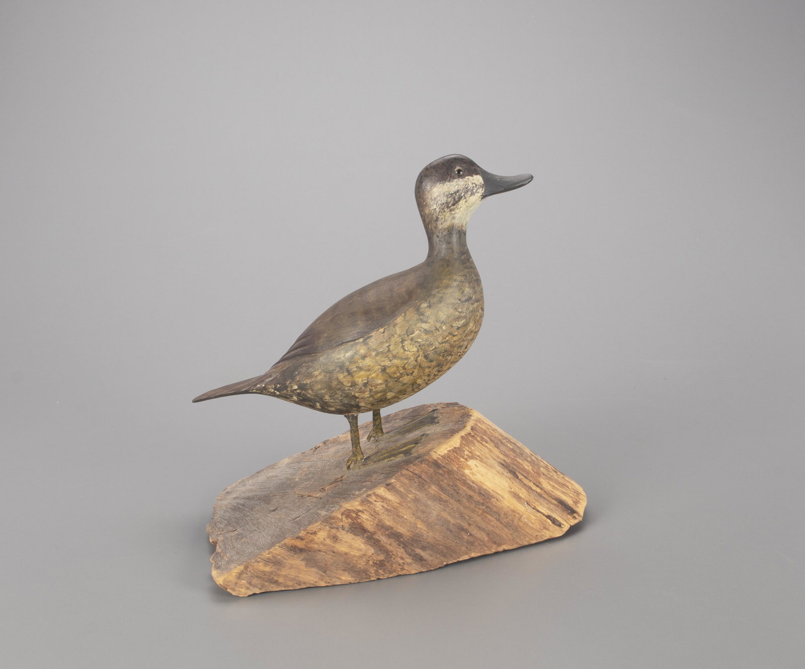 Standing Ruddy Duck, Homer Lawrence (1889-1968) (1 of 4)